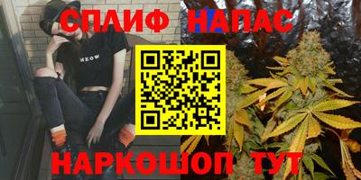 гашик Бузулук