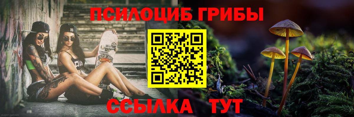 Галлюциногенные грибы Cubensis Лиски