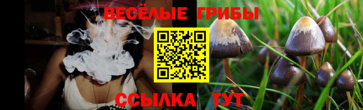 Лиски  Галлюциногенные грибы MAGIC MUSHROOMS  Вход с VPN 